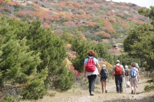 Trekking gruppo CAI sul sentiero di cala di Rena Asinara