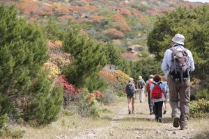Trekking CAI sentiero cala di Rena Asinara