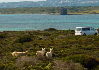 Asinara4x4 Van4x4