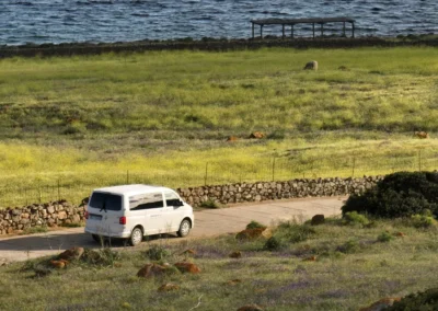 Van Asinara4x4